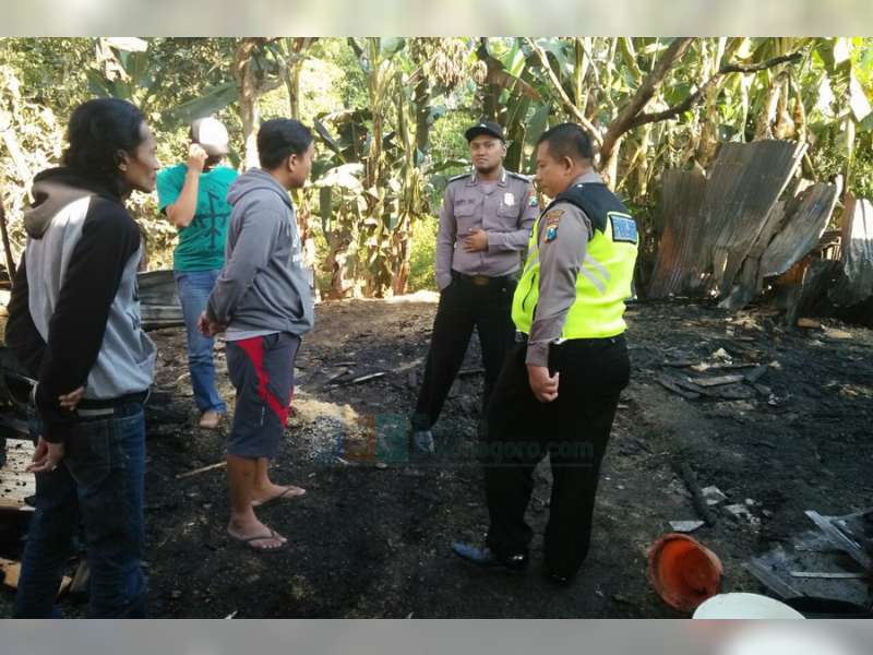 Gudang Kayu di Desa Pacul, Ludes Terbakar, Kerugian Diperkirakan Capai Rp 40 Juta