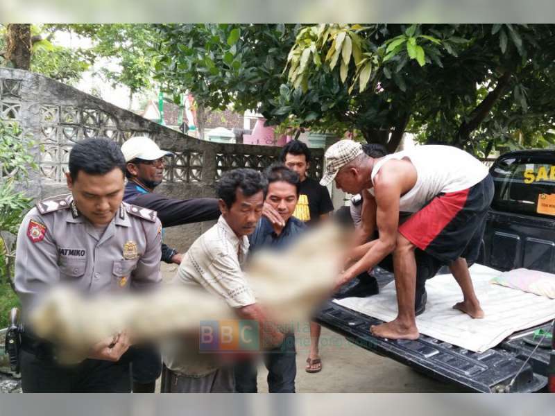 Seorang Nenek di Balen Ditemukan Meninggal Mendadak di Pinggir Jalan Raya