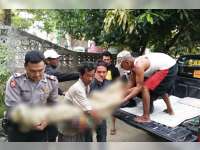 Seorang Nenek di Balen Ditemukan Meninggal Mendadak di Pinggir Jalan Raya