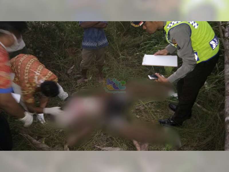 Seorang Warga Tambakrejo Ditemukan Meninggal di Hutan