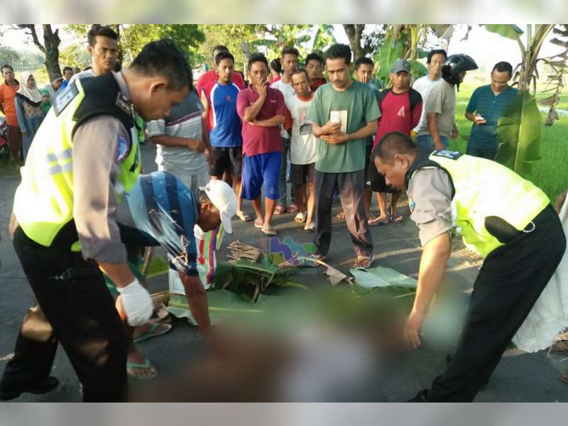 Seorang Kakek Pengayuh Sepeda Korban Tabrak Lari, Meninggal Dunia di TKP