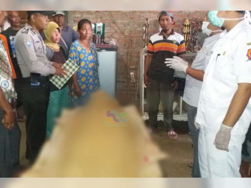 Jatuh Dari Pohon Duren Setinggi 20 Meter, Warga Kecamatan Sekar Tewas Seketika