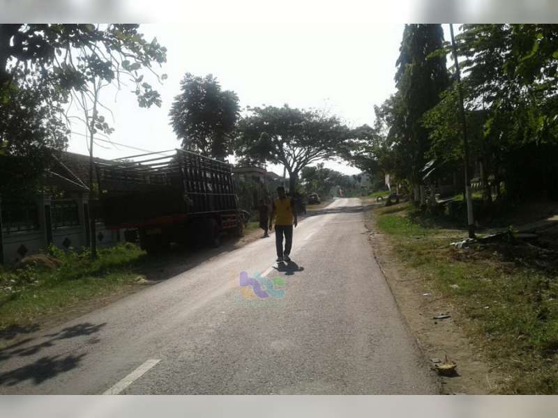 Ambil Haluan Terlalu ke Kanan, Honda Vario Tabrak Truk, Pengendara Motor Meninggal Dunia