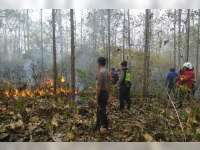 Kebakaran Hutan dan Lahan Terjadi di Sejumlah Lokasi di Bojonegoro