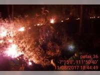 Puluhan Hektare Hutan dan Lahan di Bojonegoro, Terbakar Selama Musim Kemarau Ini