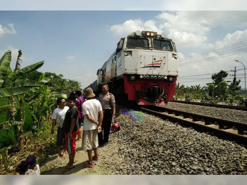 Mr X diduga Orang Gila, Meninggal Dunia Ditabrak Kereta Api di Kalitidu