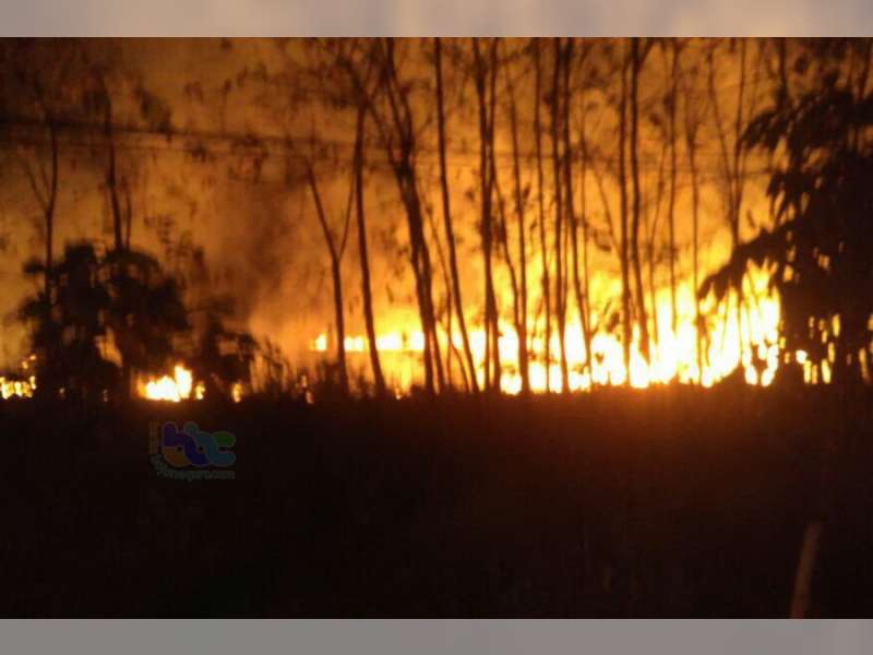 Kebakaran Lahan Tebu Terjadi di Dander Bojonegoro