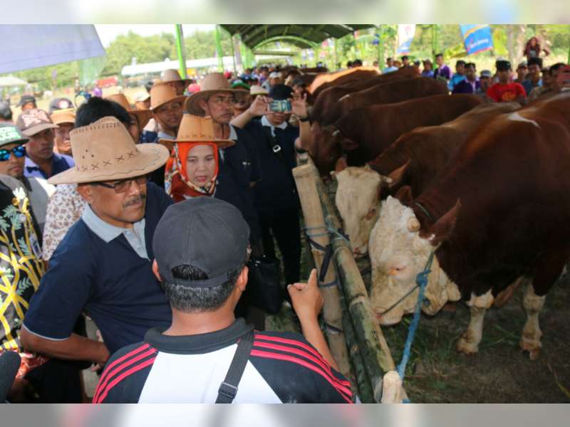 Dinas Peternakan dan Perikanan Kabupaten Blora, Adakan Lomba Ternak Sapi