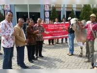 Operator JTB Serahkan Hewan Kurban