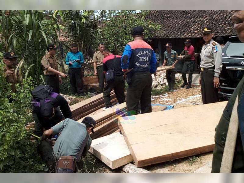 Unit Reskrim Polsek Jepon dan Perhutani Blora Tangkap Penadah Kayu Ilegal
