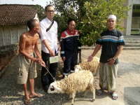 JOB PPEJ Salurkan 26 Hewan Kurban Kepada Warga