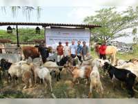 Karyawan EMCL Salurkan Hewan Kurban Pada Warga Gayam