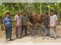 Pekerja PT Pertamina EP Asset 4 Cepu Field Bagikan Hewan Kurban