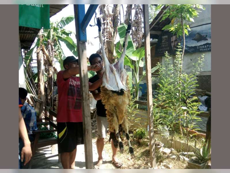 PMII Bojonegoro Bagikan Daging Kurban untuk Warga