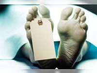 Orang Gila Tewas di Sawah, Diduga Tersengat Listrik Jebakan Tikus