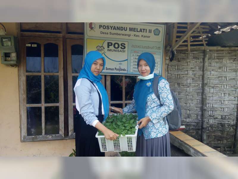 KKM IKIP PGRI Bojonegoro Berikan Bantuan 600 Bibit Cabai