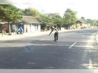 Ditabrak Motor,  Pejalan Kaki di Ngraho Alami Patah Kaki