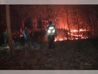 Kebakaran Rumpun Bambu di Trucuk Sempat Hebohkan Warga