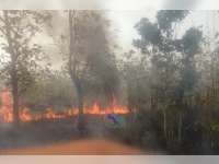 Semak Belukar Hutan di Ngasem Kembali Terbakar