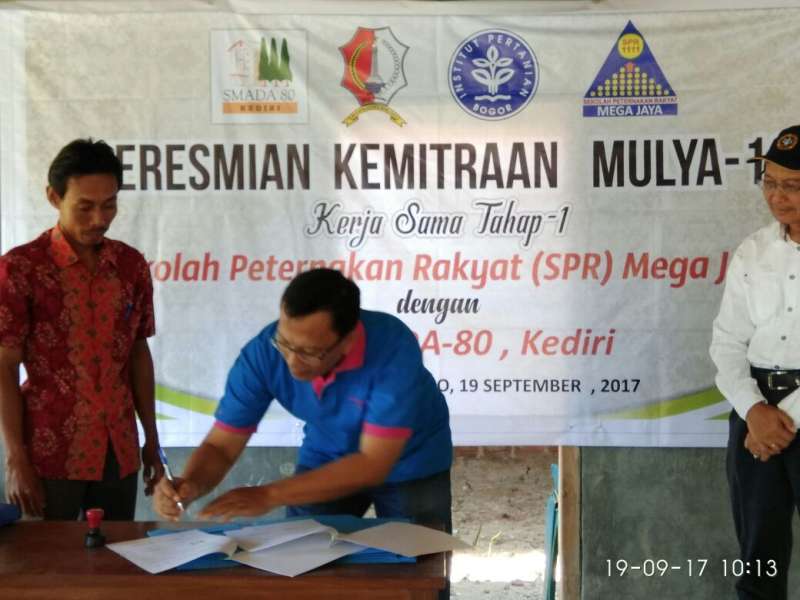 SPR Mega Jaya Jalin Kerjasama Penggemukan Pedet dengan Ikasmada Kediri