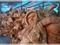 Melihat Pusat Kerajinan Bonggol Jati di Blora