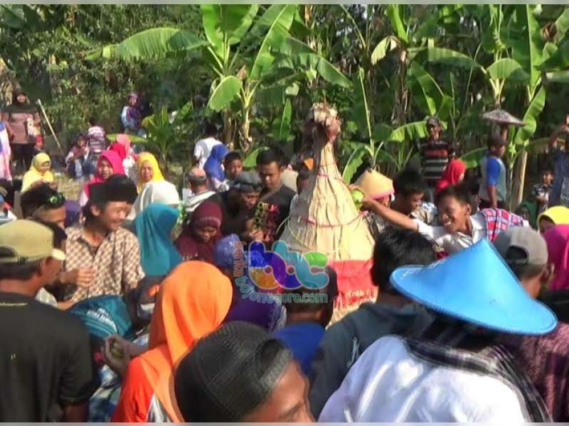 Meriahnya Sedekah Bumi di Bogo Kapas