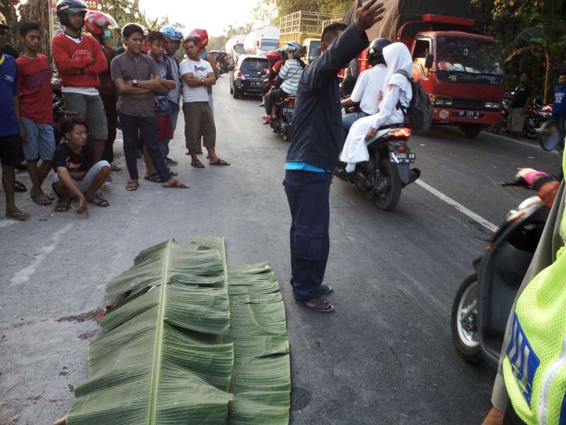 Kecelakaan di Kalitidu, Pembonceng Motor Meninggal di Tempat