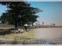 Pemerintah Berharap Embung Bisa Jadi Objek Wisata Desa