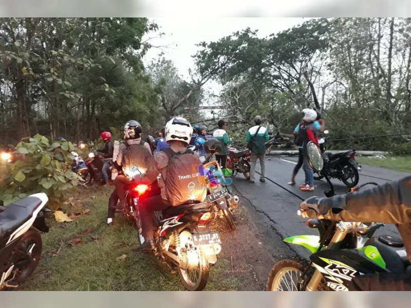 Mobil Tertimpa Pohon Tumbang di Jalur Cepu - Blora, 2 Orang Meninggal 2 Orang Luka-Luka