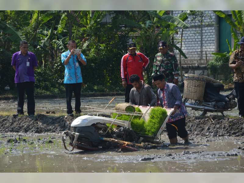 Kunjungan Kerja Komisi B DPRD Jawa Tengah Coba Alat Transplanter