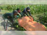 Diguyur Hujan, Harga Tembakau Turun