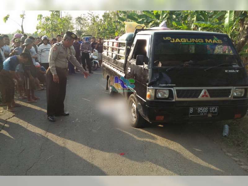 Seorang Bocah Pengendara Motor Tewas Ditabrak Pikap