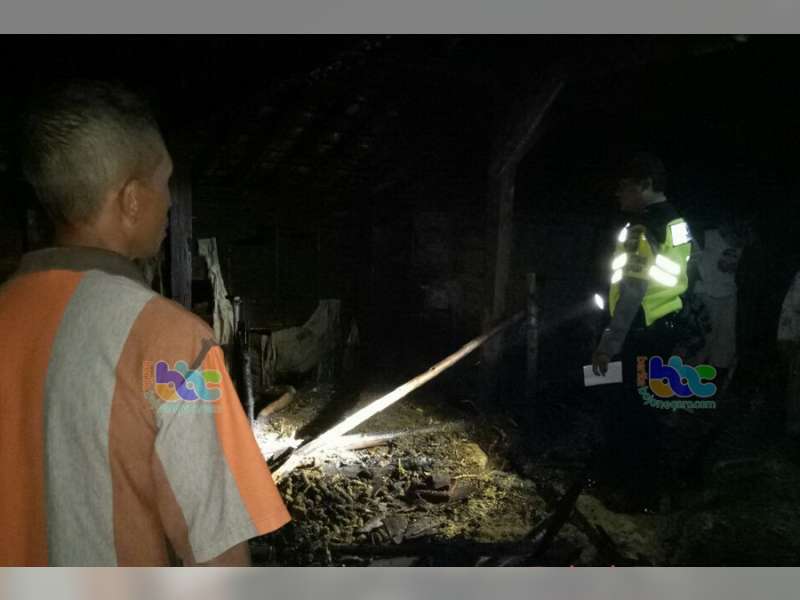 Kandang Milik Warga Temayang Terbakar, Belasan Ekor Ayam Terpanggang