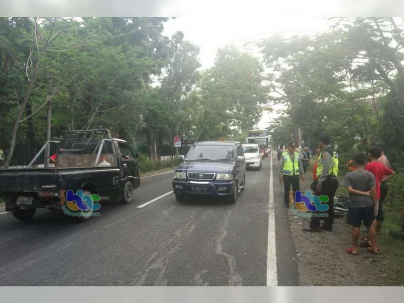 Pengendara Motor di Baureno, Tewas Tertabrak Truk