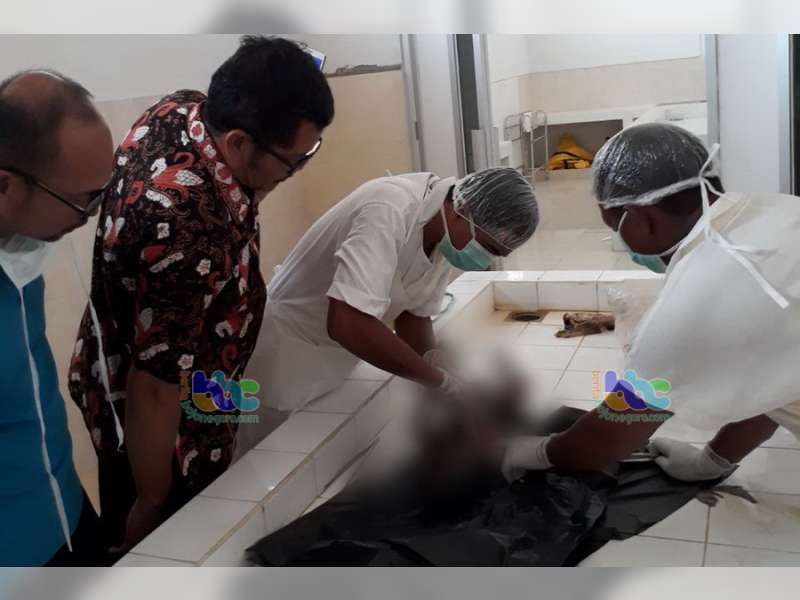 Mayat Bayi Laki-Laki Ditemukan Warga Desa Sembung Kecamatan Kapas