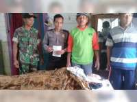 Warga Sukosewu Nekat Mengakhiri Hidup Minum Racun Serangga