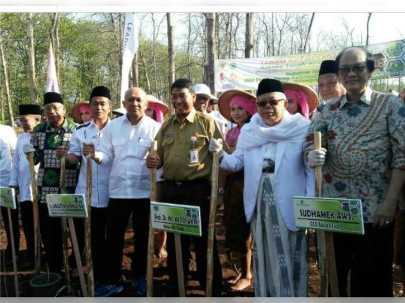 Perkuat Ekonomi Umat, MUI Tanam Kacang Tanah dan Jagung di Dander