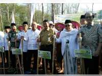 Perkuat Ekonomi Umat, MUI Tanam Kacang Tanah dan Jagung di Dander