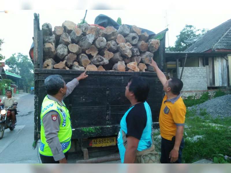 Polisi Amankan Pelaku Ilegal Loging