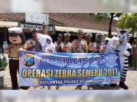 Pocong dan Zebra Warnai Hari Keempat Razia