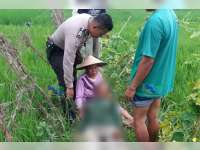 Seorang Warga Kapas Meninggal Dunia di Sawah
