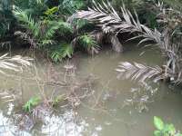 Banjir Bandang Rendam Perkebunan Salak Wedi
