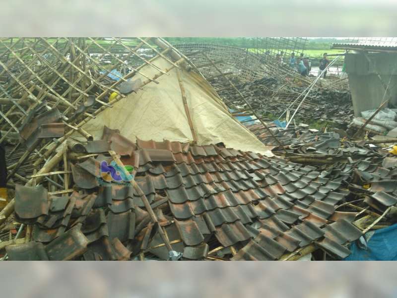 Kandang Ayam Milik Warga Ngasem Roboh, Kerugian Capai Rp 80 Juta