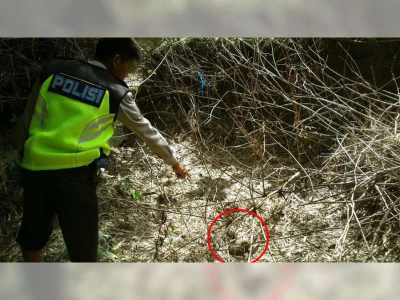 Mayat Bayi Perempuan Ditemukan Warga Kedungadem
