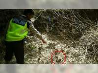 Mayat Bayi Perempuan Ditemukan Warga Kedungadem