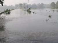 Banjir Bandang Terjang Gondang, Sekar, Balen