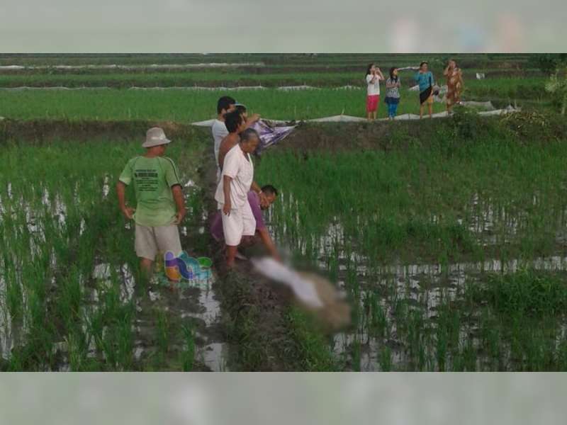 Warga Balen Ditemukan Meninggal di Pematang Sawah di Sukosewu