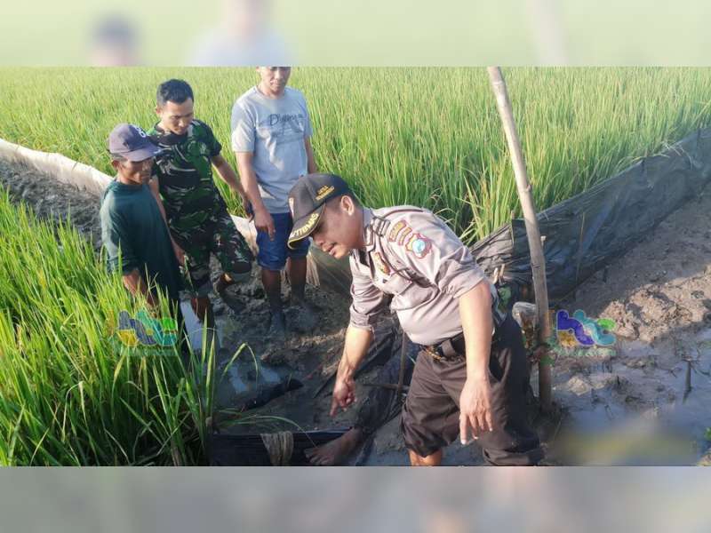 Seorang Warga Kanor Meninggal Dunia Akibat Tersengat Listrik Jebakan Tikus