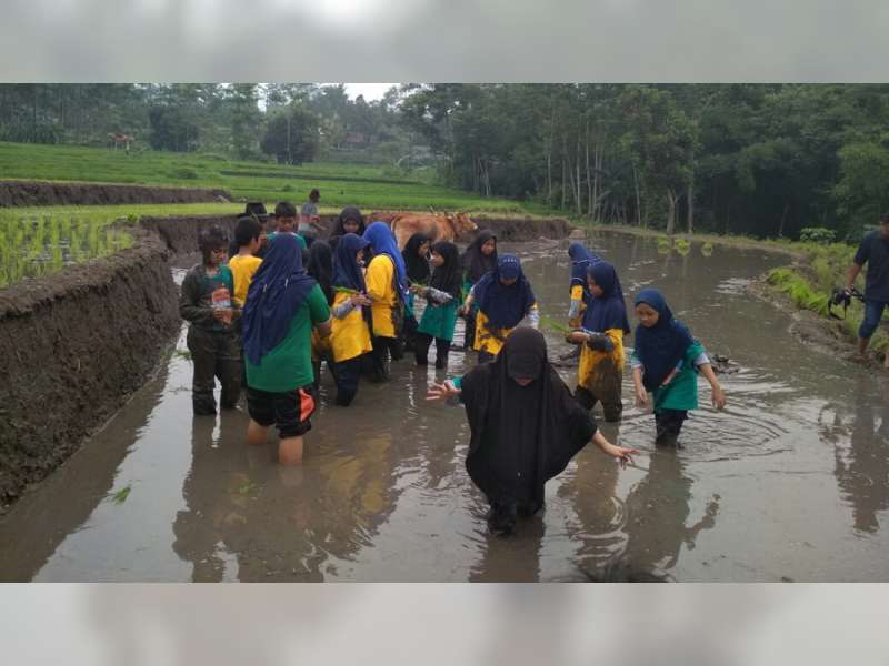 Out Of The Box, SD Mudabo Adakan Fieldtrip Ke PPLH Mojokerto