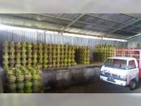 Jelang Natal dan Tahun Baru, Stok Elpiji Aman